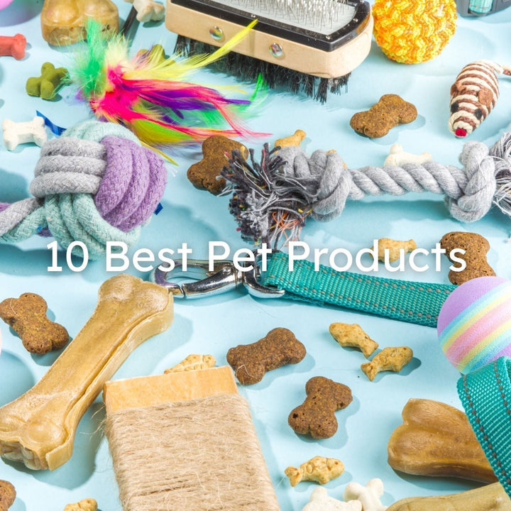 Pet Products Are Booming — Here's How to Ride the Wave with Smart Dropshipping