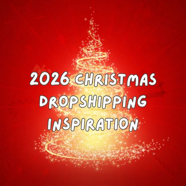 2026 Top 47 Christmas Dropshipping Products Inspiration