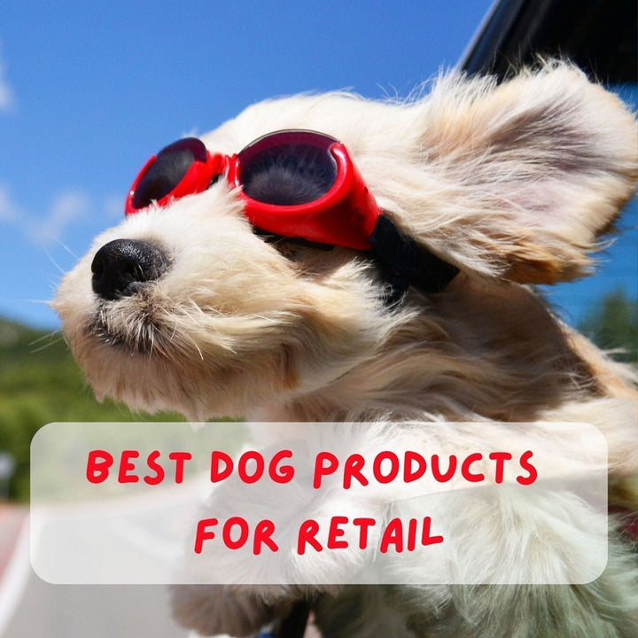10 Best Selling Dog Products to Dropship in 2025