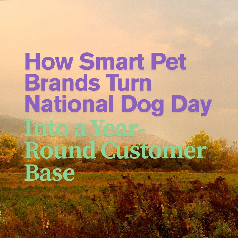 How Smart Pet Brands Turn National Dog Day Into a Year-Round Customer Base