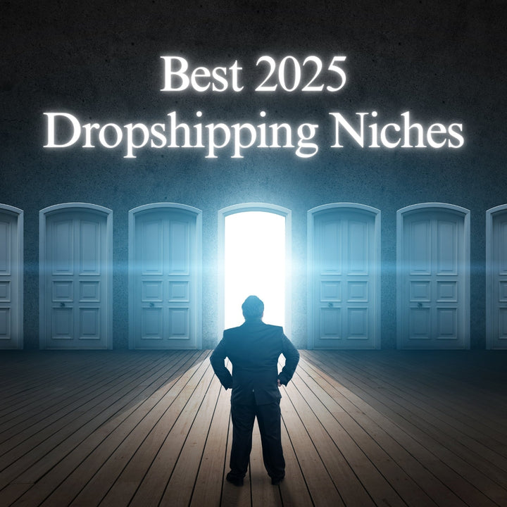 Top Dropshipping Niches to Watch in 2025 (Based on Real Market Trends)