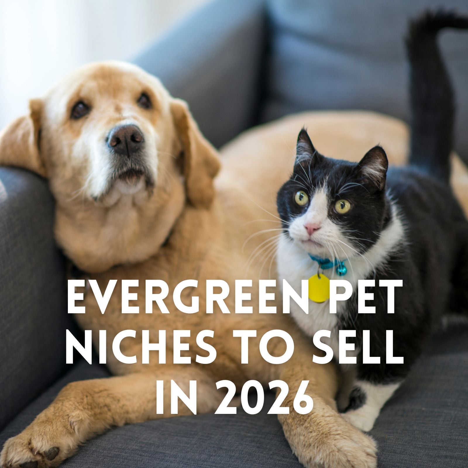 Top 10 Pet Niches for Stable Long-Term Sales in 2026