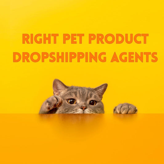 Gray cat peeking over a yellow surface with the text “Right Pet Product Dropshipping Agents” on a bright yellow background.