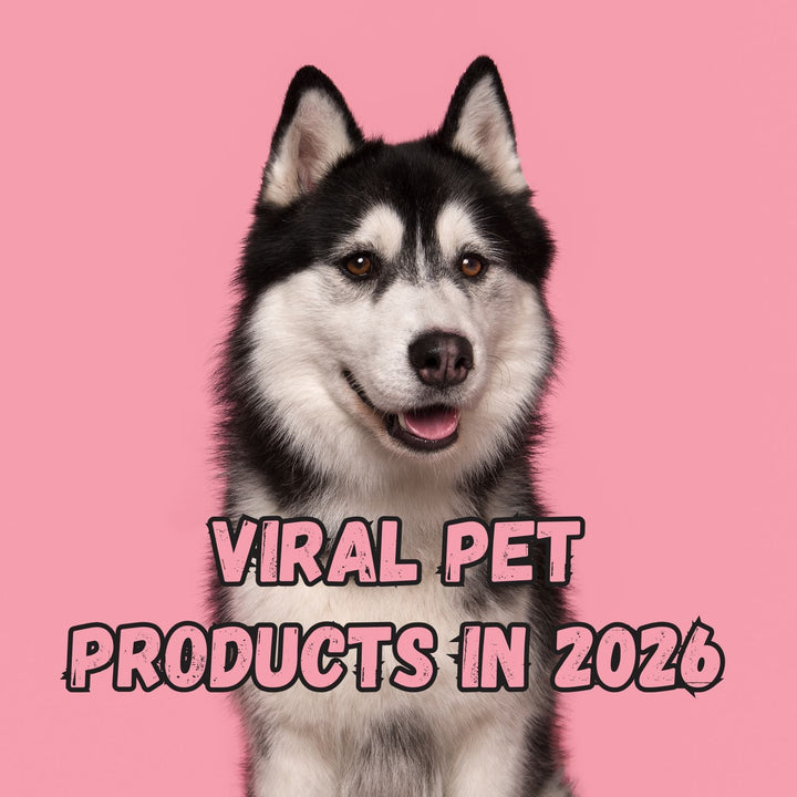 From Toys to Tech: 2026’s Most Viral Pet Products for Dropshippers