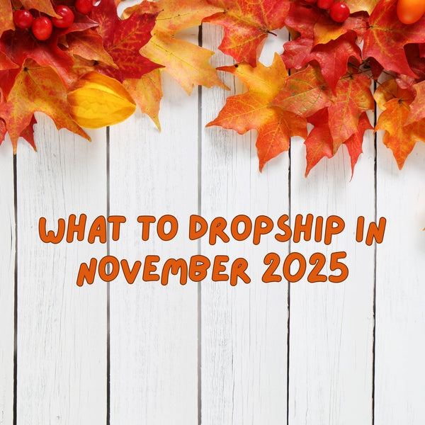 Top 10 Dropshipping Products for November 2025