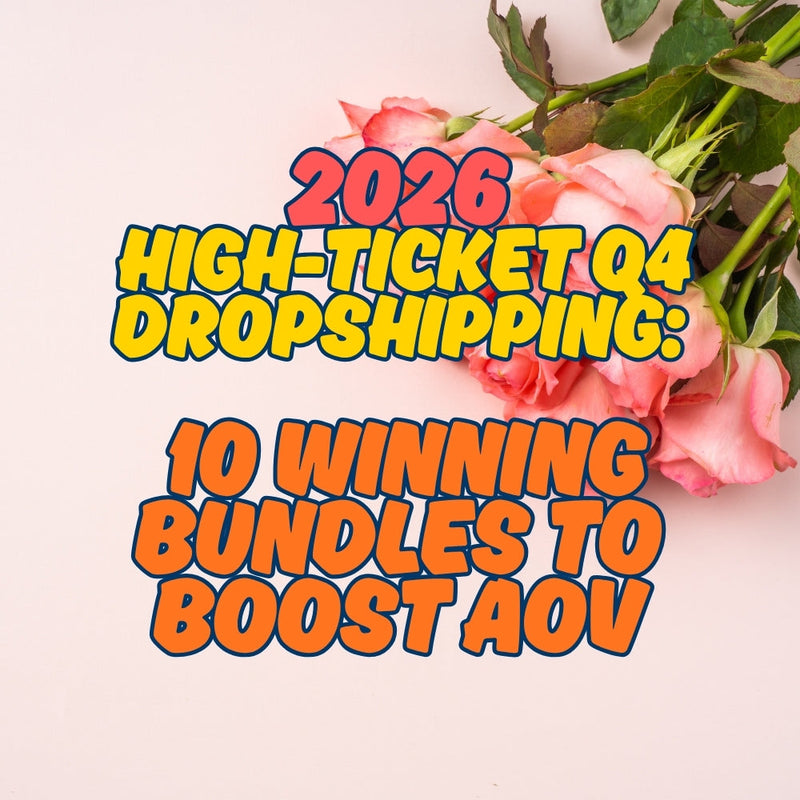Q4 High-Ticket Dropshipping Guide: 10 Winning Gift Bundles & AOV Strategies (2026)