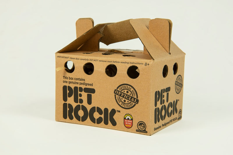 Cardboard box packaging for a product called 'Pet Rock' on a white background