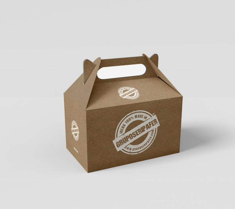 Brown cardboard box with a handle and printed logo on a light gray background